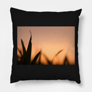 Orange Sunset Pillow