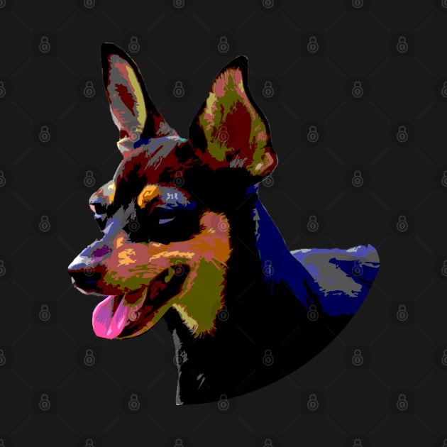 pinscher by rickylabellevie