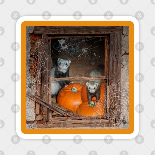 Ferrets Halloween Pumpkin Guard - Ferret art design Magnet by BarbaraGlebska