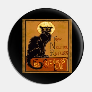 Chat Noir T N R Pin