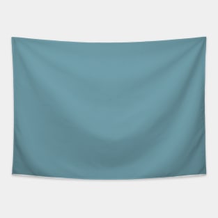 Solid Dusty Blue Lake Blue Monochrome Minimal Design Tapestry