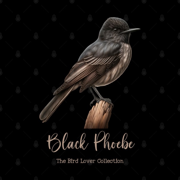 Black Phoebe - The Bird Lover Collection by goodoldvintage