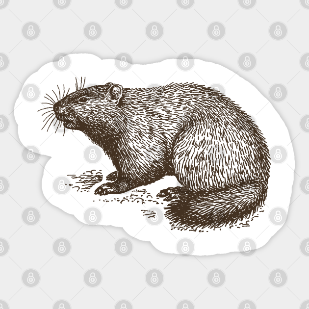 Vintage Groundhog - Vintage - Sticker