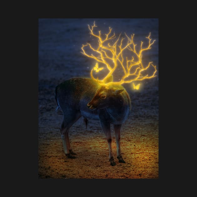 Reindeer glow by Jackson Lester