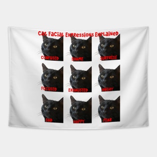 Cat Facial Expressions Explained Chart Cut Out Tapestry