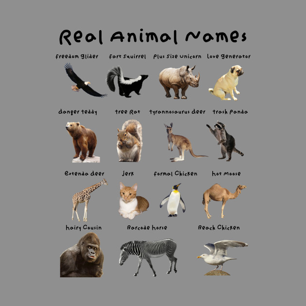 Real Animal Names - Animals - Pillow | TeePublic