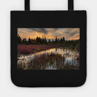 Autumn Dolly Sods Sunset Tote