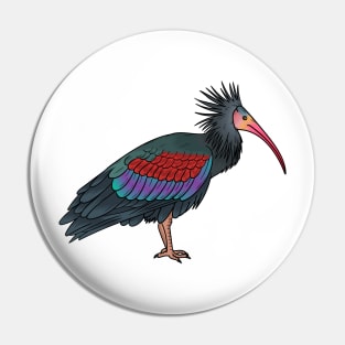 Northern bald ibis bird cartoon illustration Pin