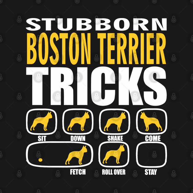 Stubborn Boston Terrier Tricks by Madfido