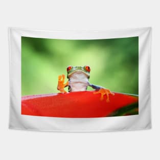 "Live long and Prosper" Red-eyed Tree Frog Tapestry