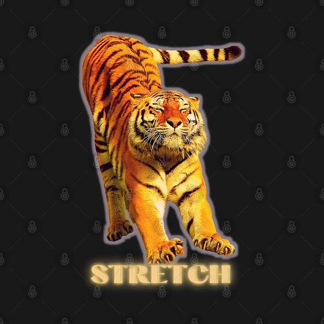 Large tiger doing a stretch exercise - silver gold 1 by Blue Butterfly Designs 