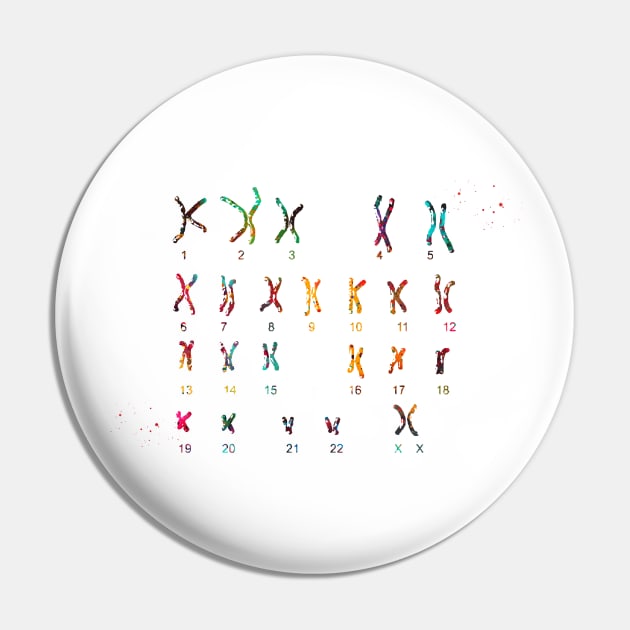 Female Chromosome idiogram Pin by erzebeth