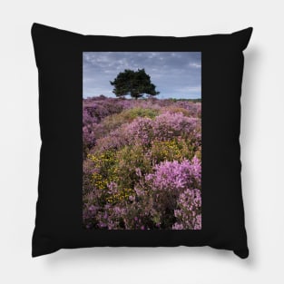 Dunwich evening Pillow