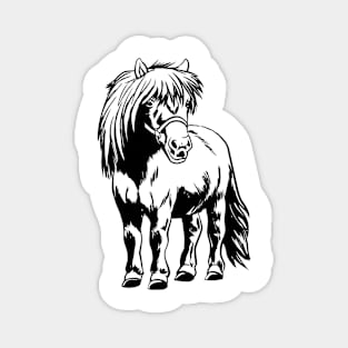 Horse Shetland Pony Magnet