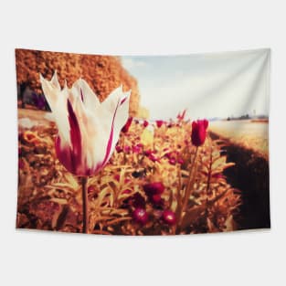 Tulip alley Tapestry