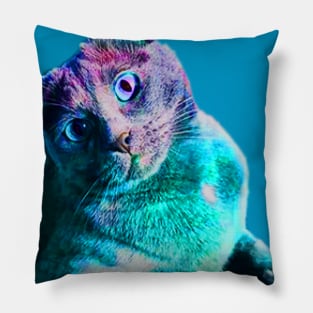 Kitters Pillow