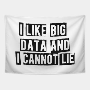 Data analyst - I like big data and cannot lie Tapestry