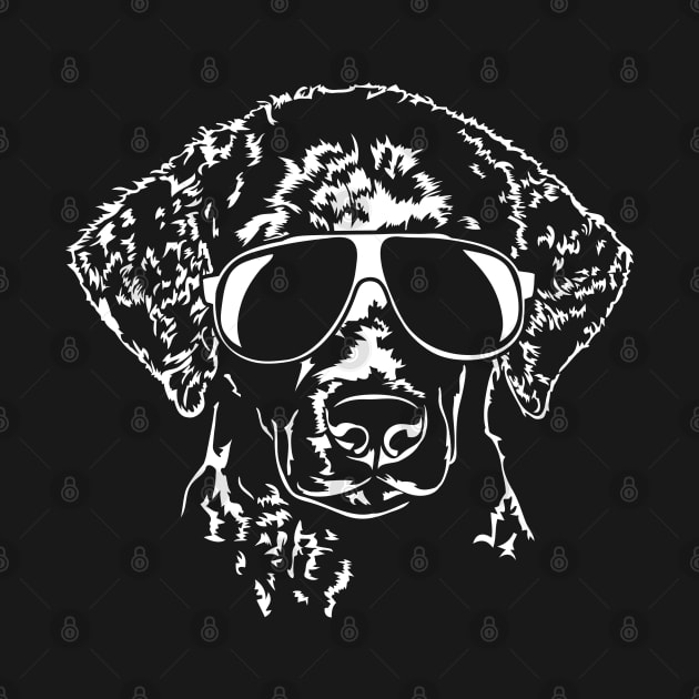 Funny Curly Coated Retriever sunglasses cool dog by wilsigns