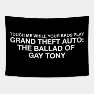 Taylor Swift x GTA — Gay Tony Tapestry