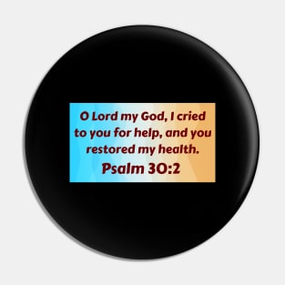 Bible Verse Psalm 30:2 Pin