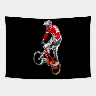 bmx Tapestry