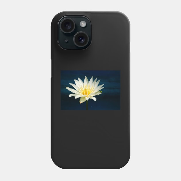 White and Yellow Water Lily Phone Case by WaterGardens
