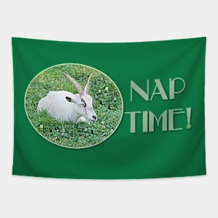 NAP TIME! Tapestry