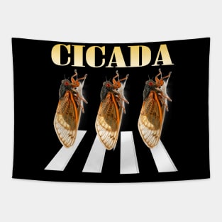 Cicada Brood XIX funny album Tapestry