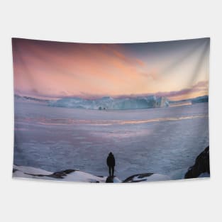 Frozen Lands Tapestry