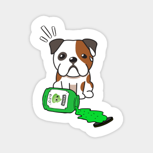 Cute English Bulldog Spilled Wasabi sauce Magnet