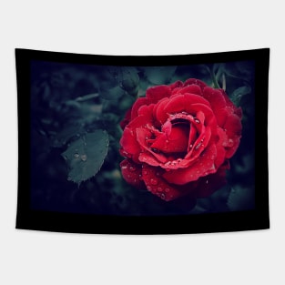 rose Tapestry