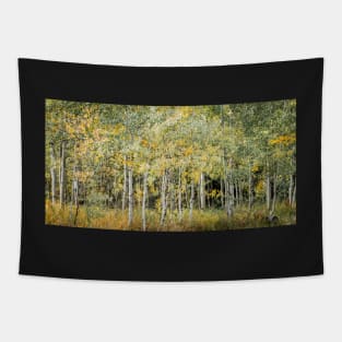 Beautiful pictures - Apen Trees Tapestry