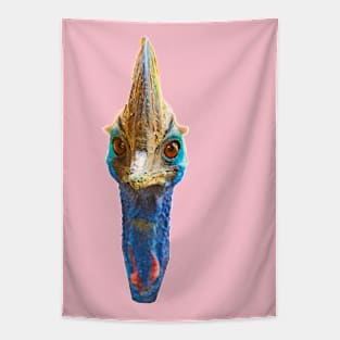 Cassowary looking at You Tapestry