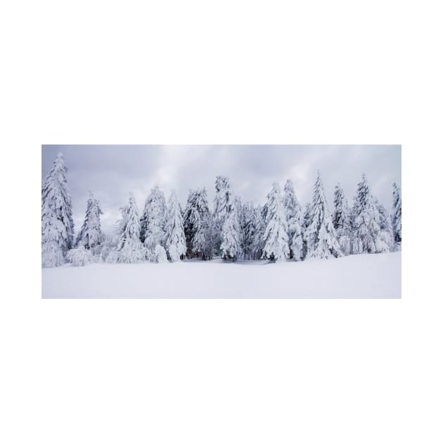 snowy fir by 1STunningArt