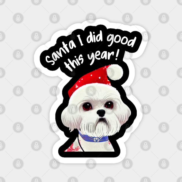 Funny Christmas Shih Tzu Wish You A Merry Xmas Crusty White Dog with Santa Magnet by Mochabonk
