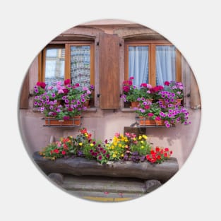 Two Windows and Colorful Flowers Pin