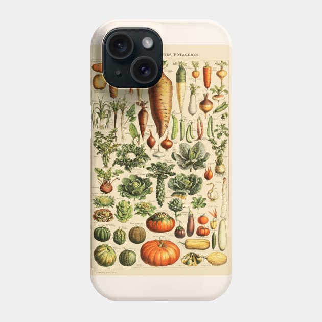 Legumes Et Plantes Potageres Phone Case by WAITE-SMITH VINTAGE ART