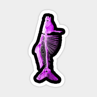 Fish Purple Magnet