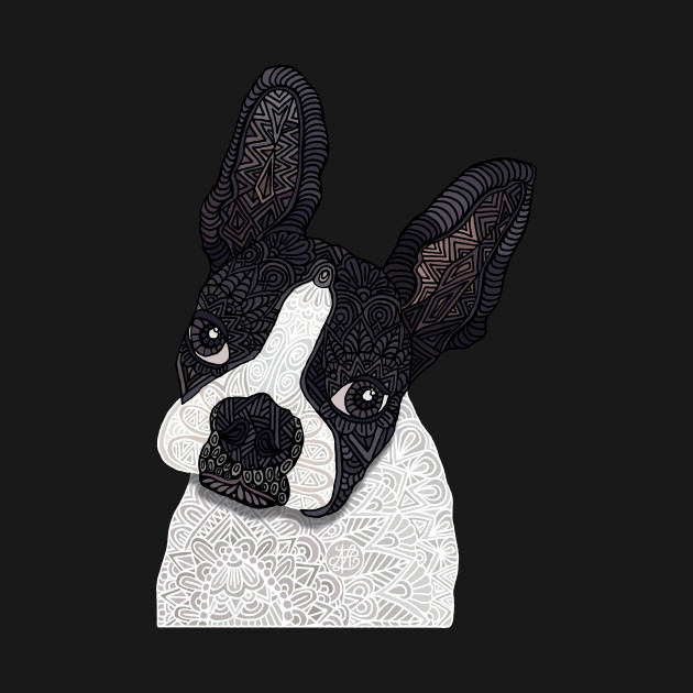 Disover Boston Terrier - Boston Terrier - T-Shirt