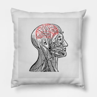 Brain Pillow