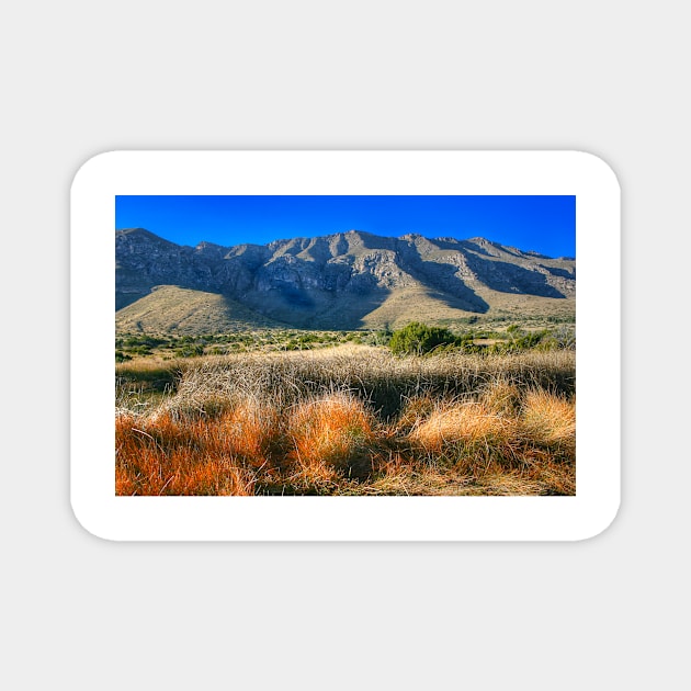 Guadalupe Mountains National Park2 Magnet by StonePics