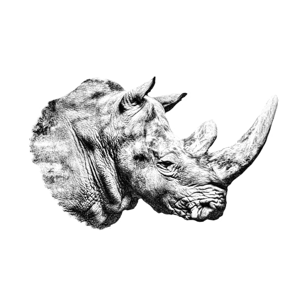 Rhinoceros by Guardi