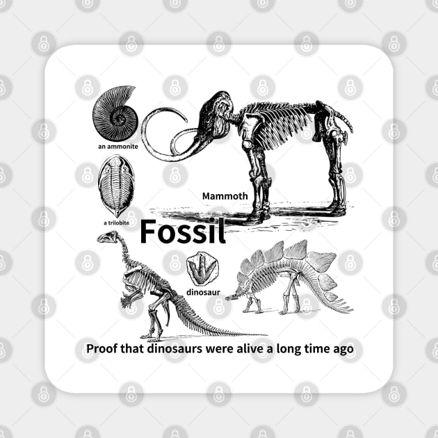 fossil, Proof that dinosaurs were alive a long time ago, dinosaur, an ammonite, a trilobite Magnet by zzzozzo