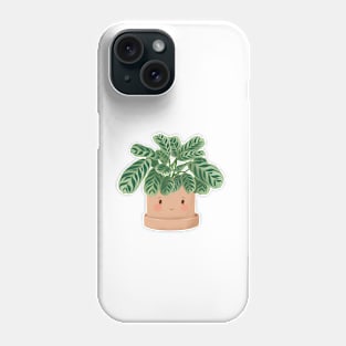 Cute Plant Illustration,  Calathea Burle-Marxii Amabilis 3 Phone Case