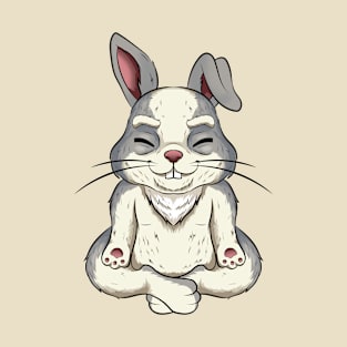 animal yoga rabbit cute and funny T-Shirt