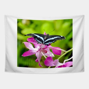 African Blue Banded Swallowtail Butterfly Tapestry