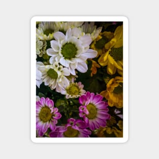 White Yellow Pink Fucsia Flowers Blossoms Magnet