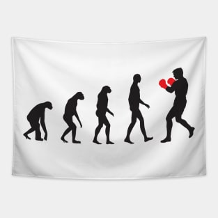 Evolution boxing Tapestry