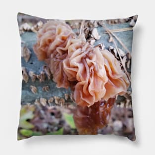 Wood Ear Mushroom Pillow