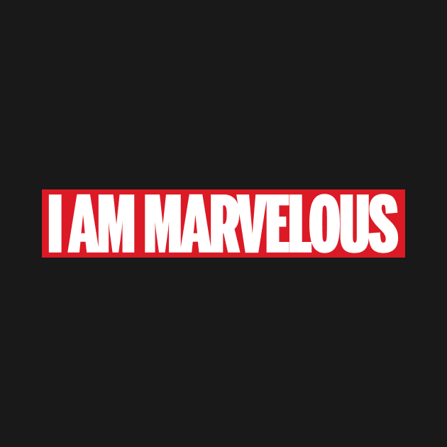 I Am Marvelous by Fanboys Anonymous